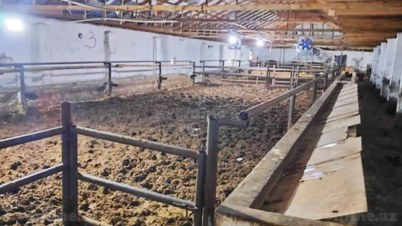 Satılır Obyekt 8500 m² Qaradağ r. - şəkil 9