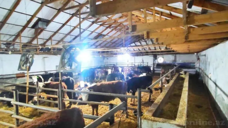 Satılır Obyekt 8500 m² Qaradağ r. - şəkil 11