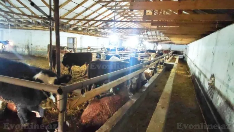 Satılır Obyekt 8500 m² Qaradağ r. - şəkil 12