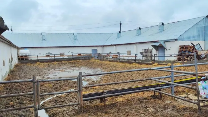 Satılır Obyekt 8500 m² Qaradağ r. - şəkil 16