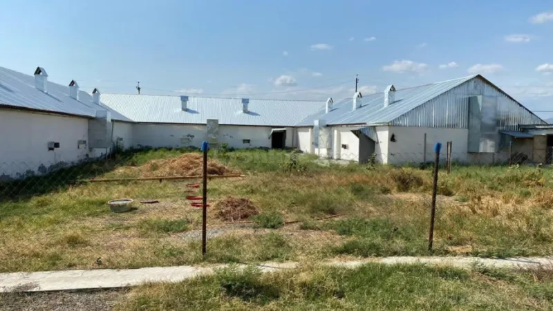 Satılır Obyekt 8500 m² Qaradağ r. - şəkil 17