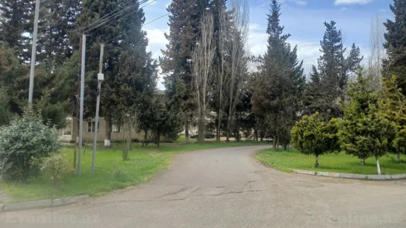 Satılır Obyekt 900 m² Masallı - şəkil 4