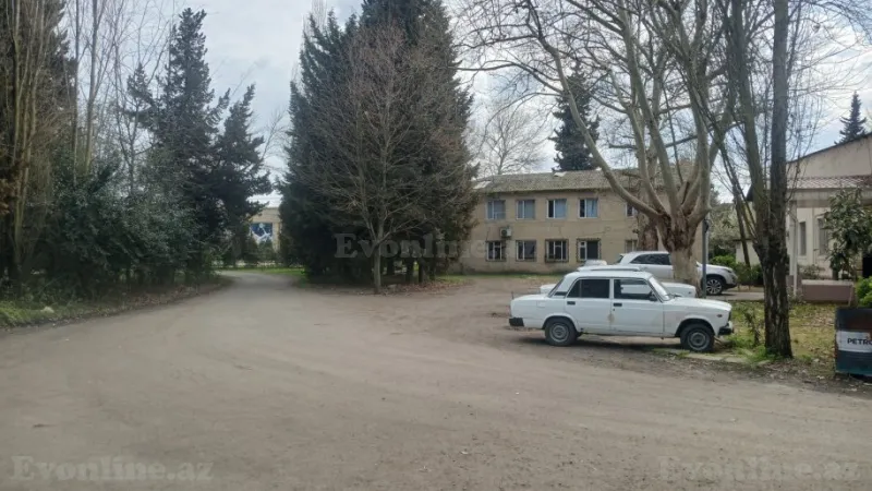 Satılır Obyekt 900 m² Masallı - şəkil 5