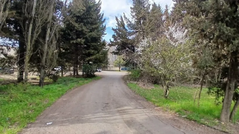 Satılır Obyekt 900 m² Masallı - şəkil 7