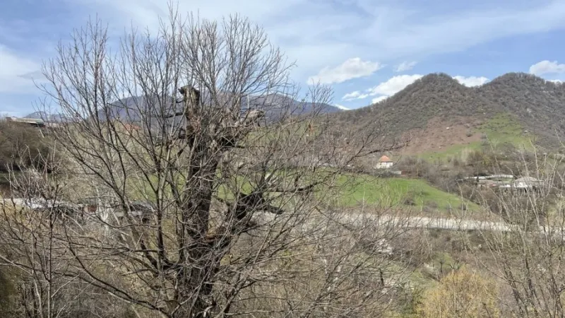 Satılır Torpaq 4.5 sot Qəbələ - şəkil 2