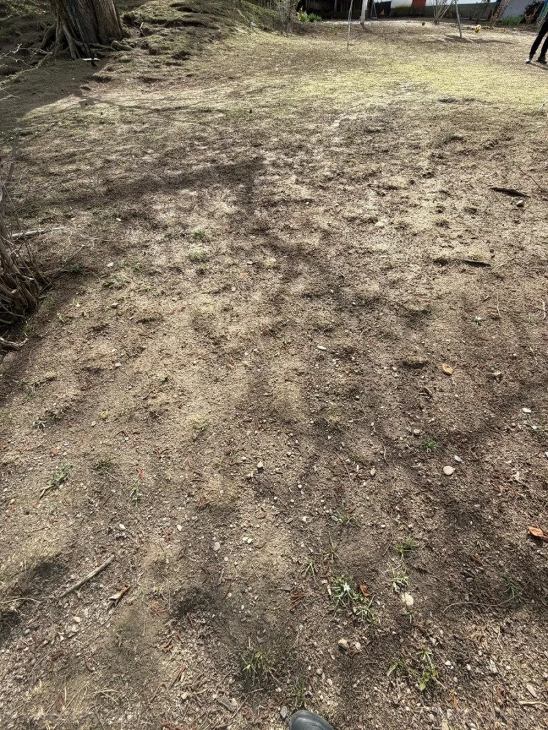 Satılır Torpaq 4.5 sot Qəbələ - şəkil 8