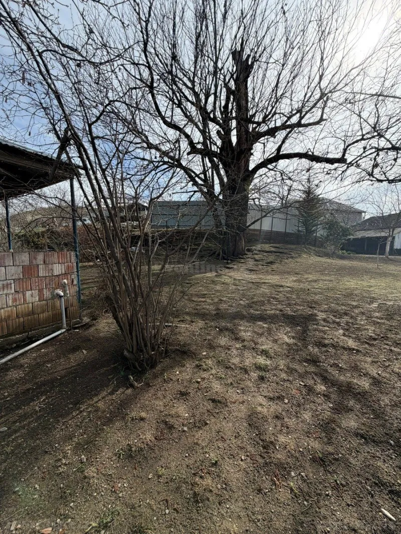 Satılır Torpaq 4.5 sot Qəbələ - şəkil 9