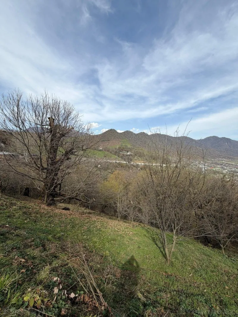 Satılır Torpaq 4.5 sot Qəbələ - şəkil 11