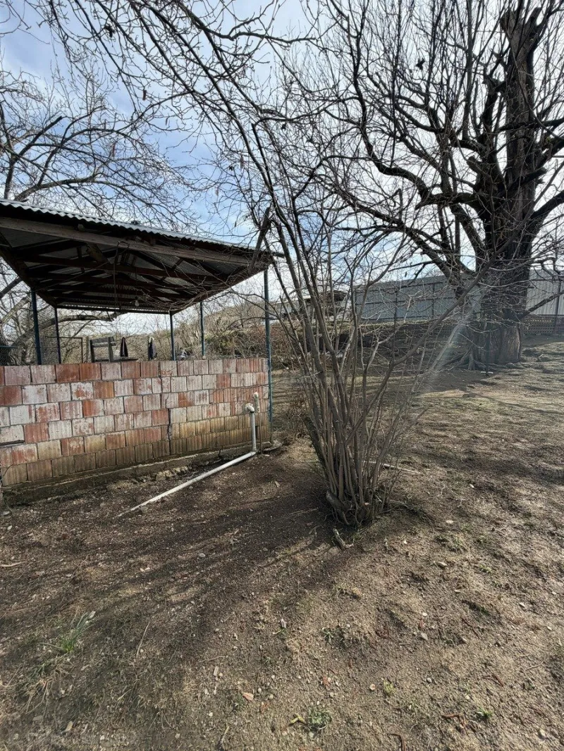 Satılır Torpaq 4.5 sot Qəbələ - şəkil 12