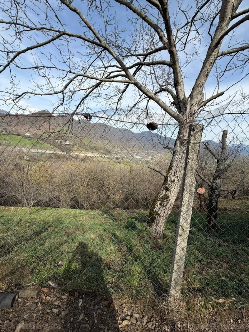 Satılır Torpaq 4.5 sot Qəbələ - şəkil 13