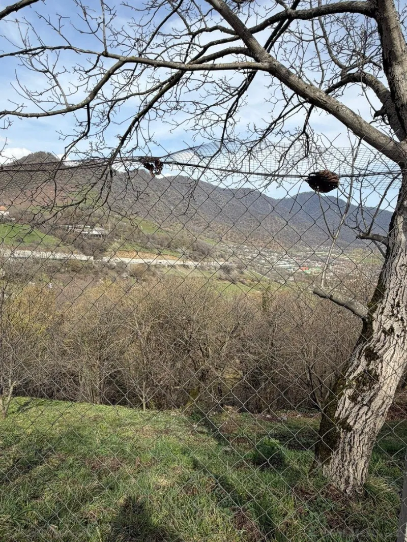 Satılır Torpaq 4.5 sot Qəbələ - şəkil 14