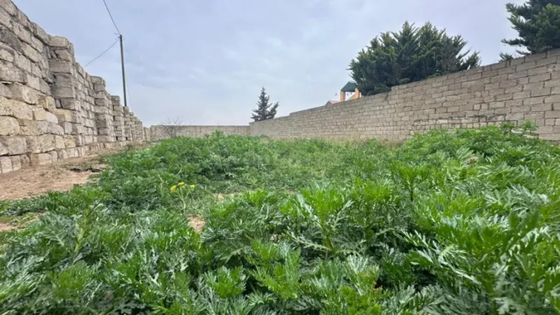 Satılır Torpaq 4 sot Sabunçu r. - şəkil 6