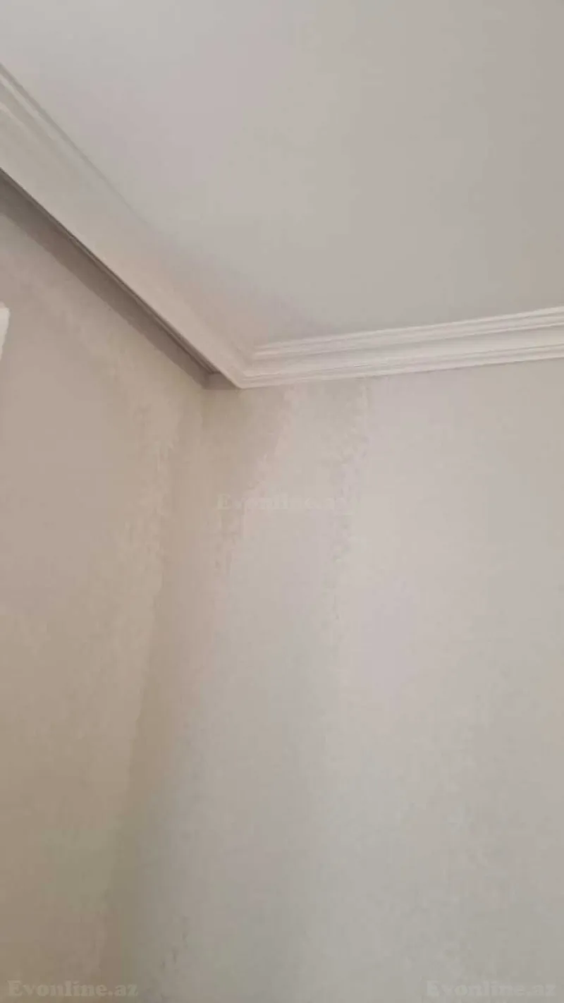 Satılır 1 otaqlı Mənzil Köhnə tikili 45 m² Gənclik m. - şəkil 25