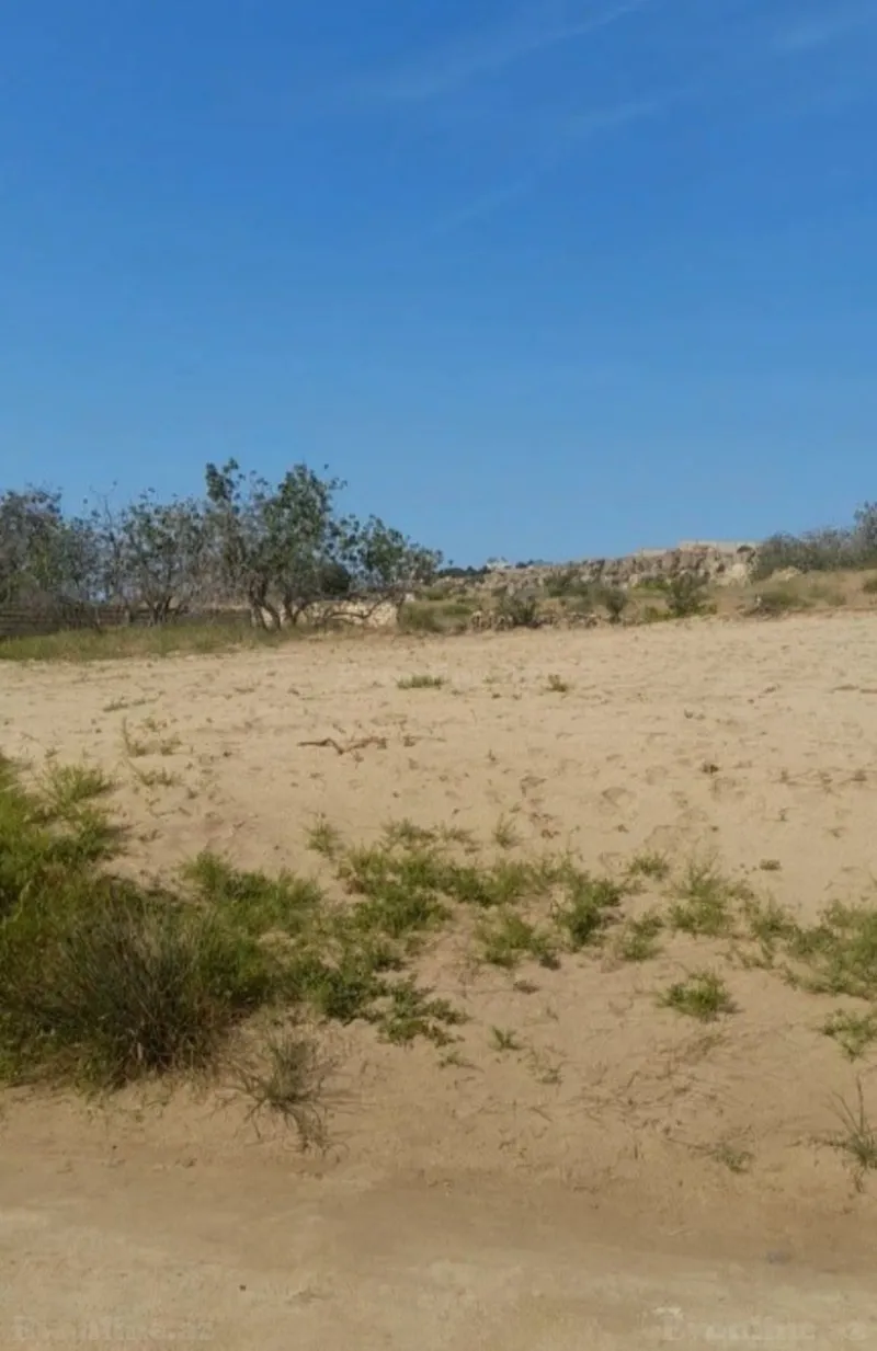 Satılır Torpaq 12 sot Nardaran - şəkil 3