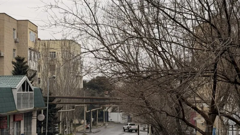 Kirayə verilir Obyekt 70 m² Badamdar - şəkil 5