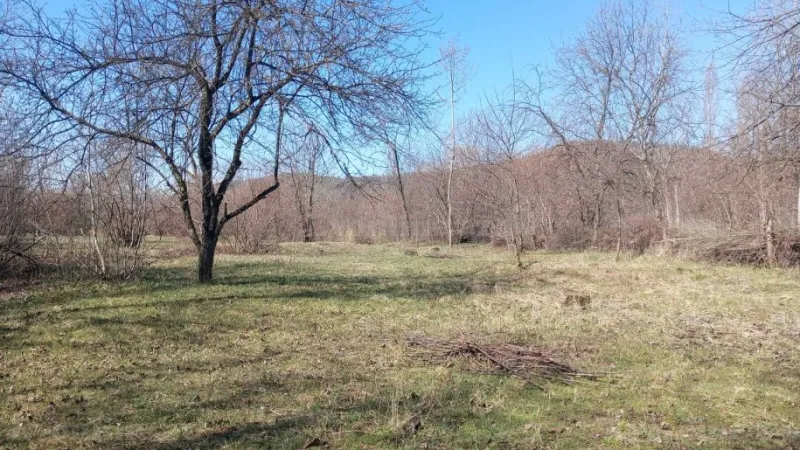 Satılır Torpaq 163 sot Qəbələ - şəkil 3