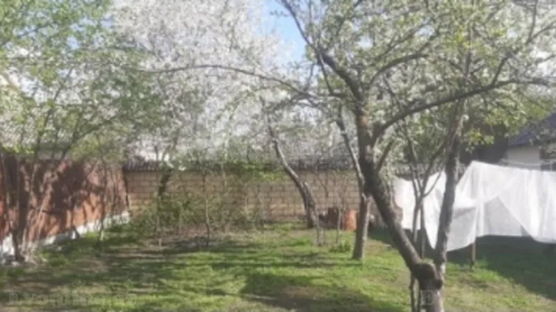 Satılır Torpaq 3.3 sot Qəbələ - şəkil 2