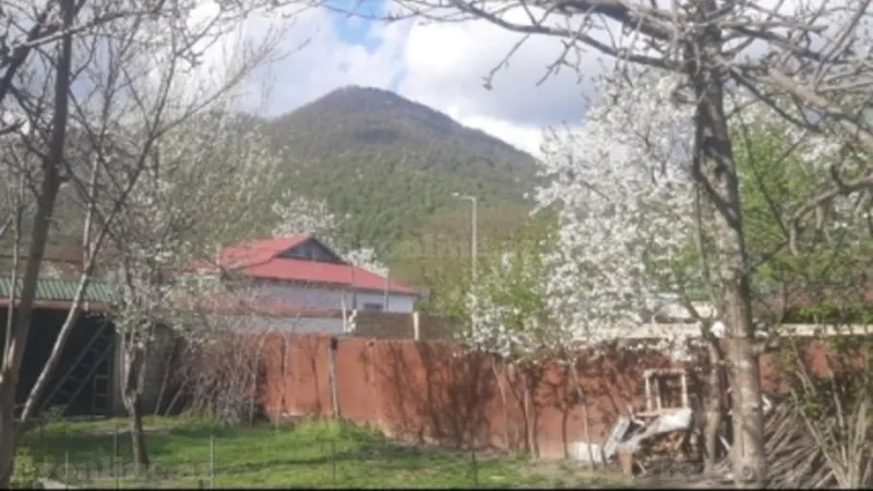 Satılır Torpaq 3.3 sot Qəbələ - şəkil 3