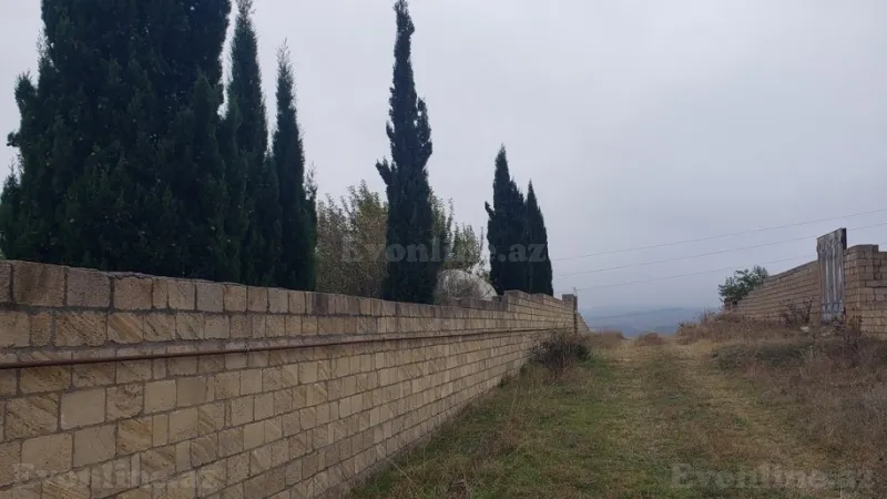 Satılır Torpaq 30 sot Şamaxı