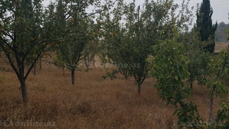 Satılır Torpaq 30 sot Şamaxı - şəkil 7
