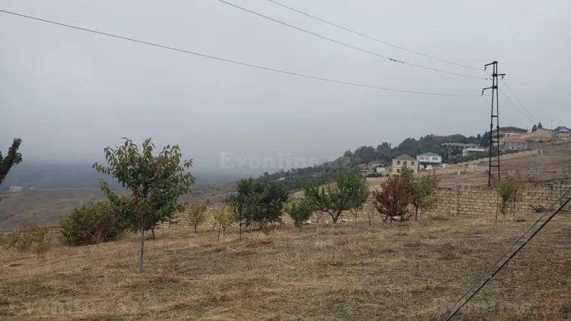 Satılır Torpaq 30 sot Şamaxı - şəkil 8