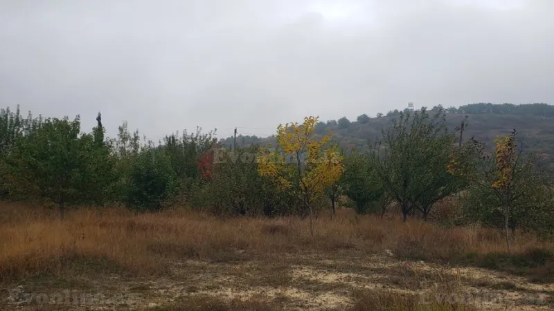 Satılır Torpaq 30 sot Şamaxı - şəkil 13