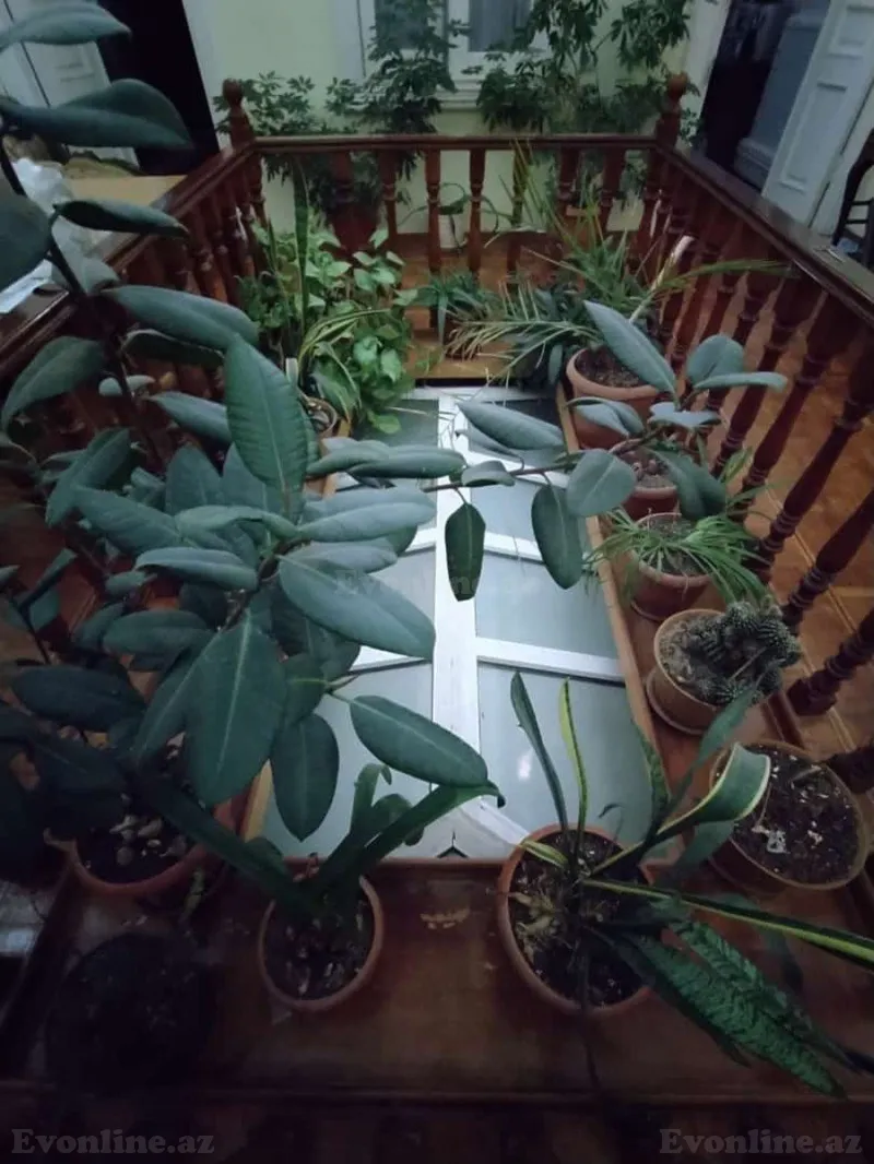 Satılır 4 otaqlı Mənzil Köhnə tikili 220 m² Sahil m. - şəkil 4