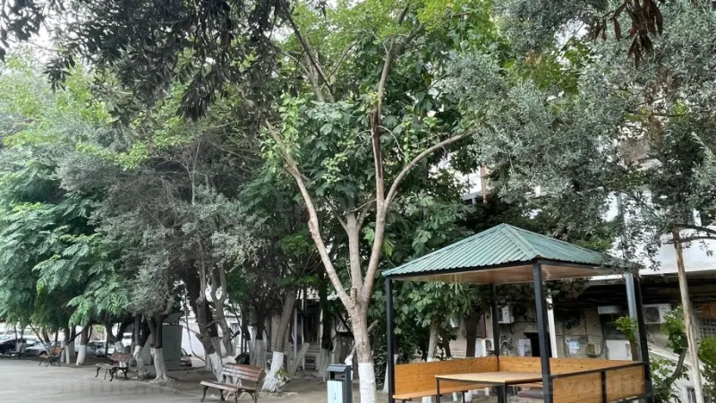 Satılır 2 otaqlı Mənzil Köhnə tikili 70 m² Nizami m. - şəkil 15