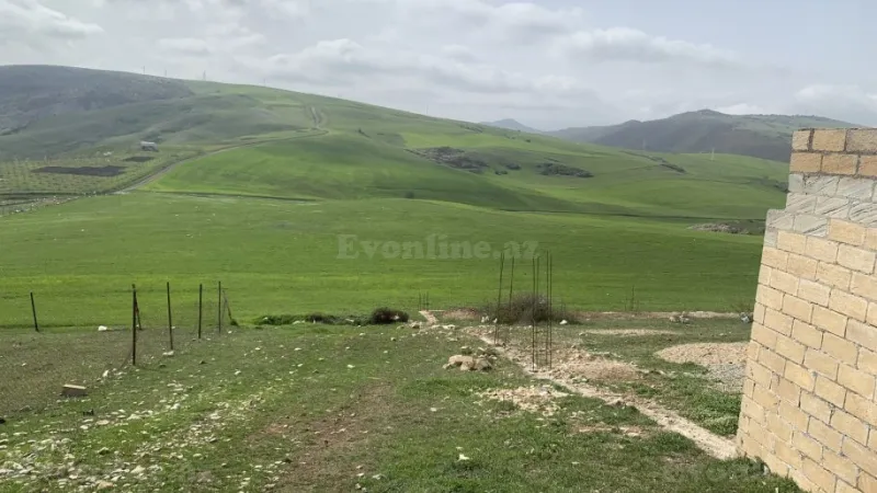 Satılır Torpaq 300 sot Şamaxı - şəkil 2