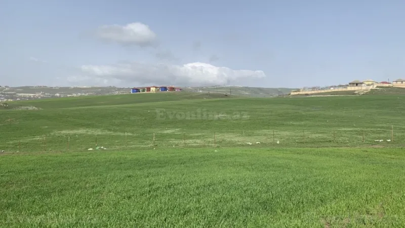 Satılır Torpaq 300 sot Şamaxı - şəkil 3