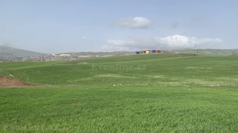 Satılır Torpaq 300 sot Şamaxı - şəkil 4