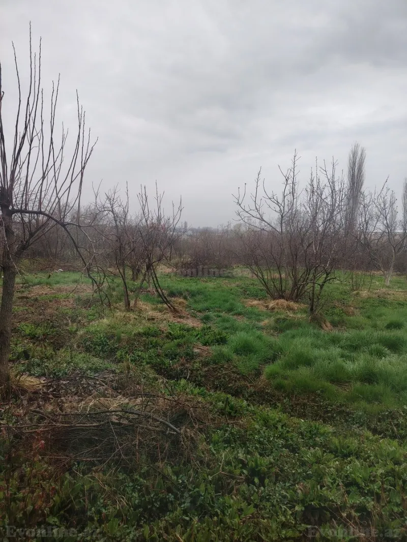 Torpaq Xaçmaz Satılır