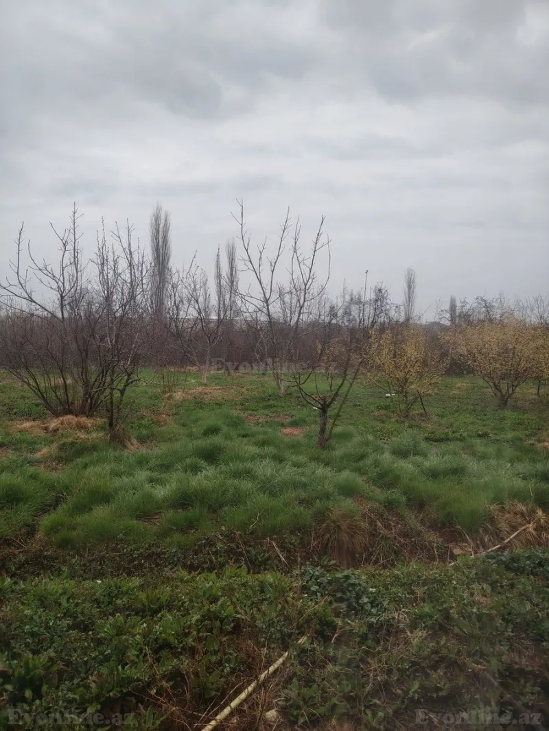 Satılır Torpaq 23 sot Xaçmaz - şəkil 2