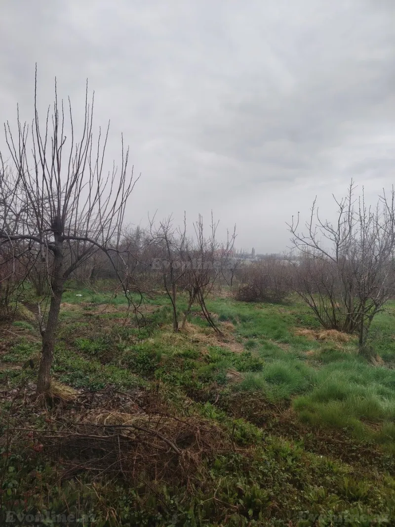 Satılır Torpaq 23 sot Xaçmaz - şəkil 3