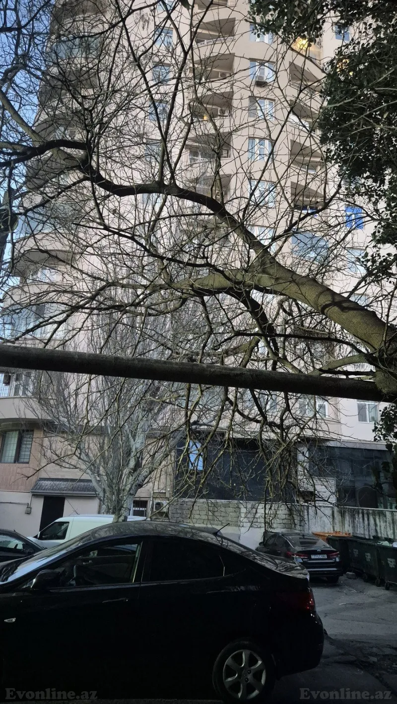 Satılır 4 otaqlı Mənzil Yeni tikili 188 m² Nəsimi r. - şəkil 2