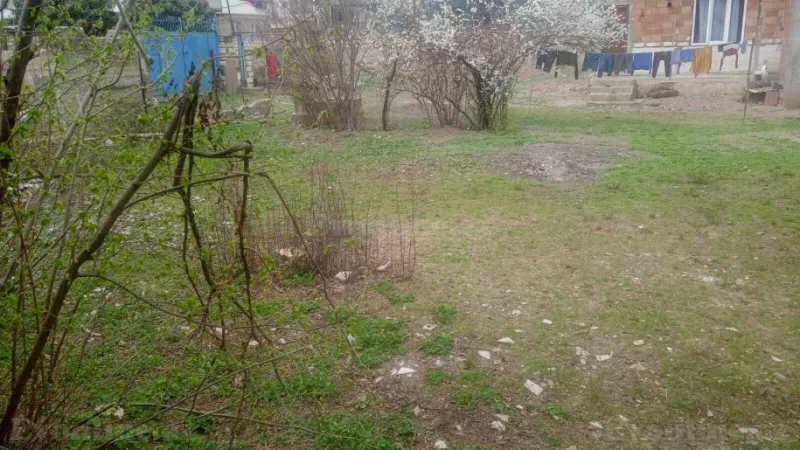 Satılır Torpaq 6 sot Ağstafa - şəkil 3