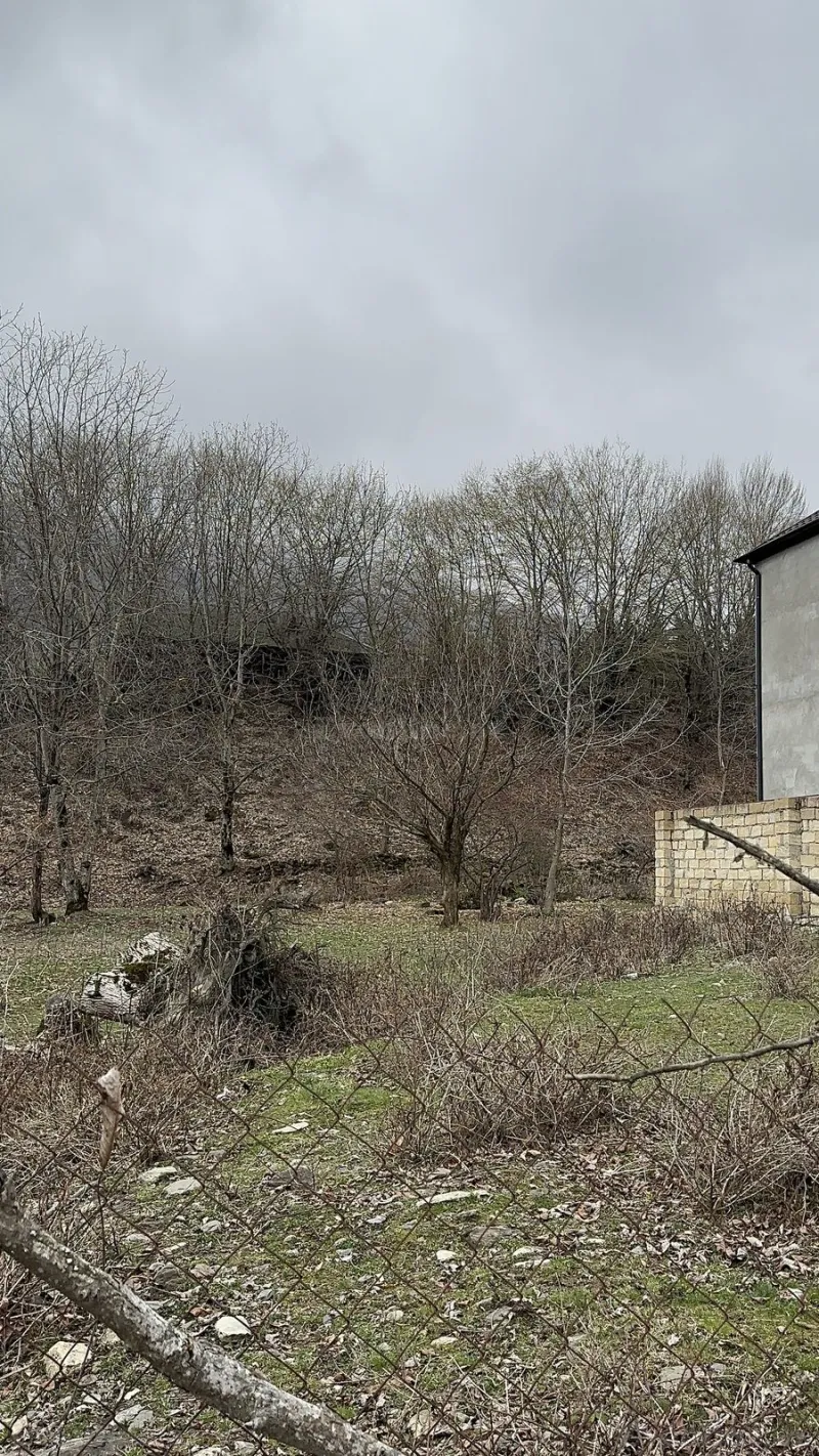 Satılır Torpaq 10.5 sot İsmayıllı - şəkil 2