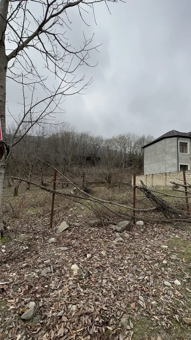 Satılır Torpaq 10.5 sot İsmayıllı - şəkil 4