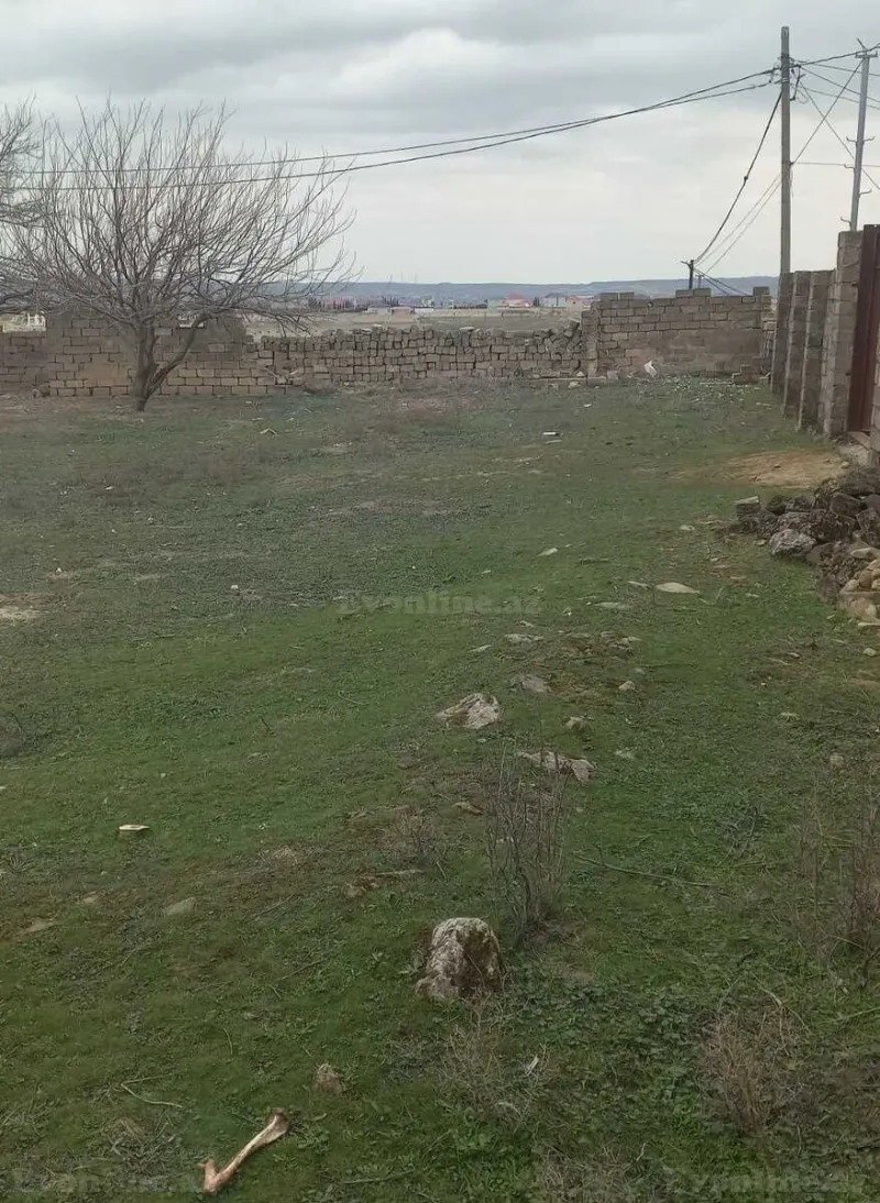 Satılır Torpaq 10 sot Saray - şəkil 2