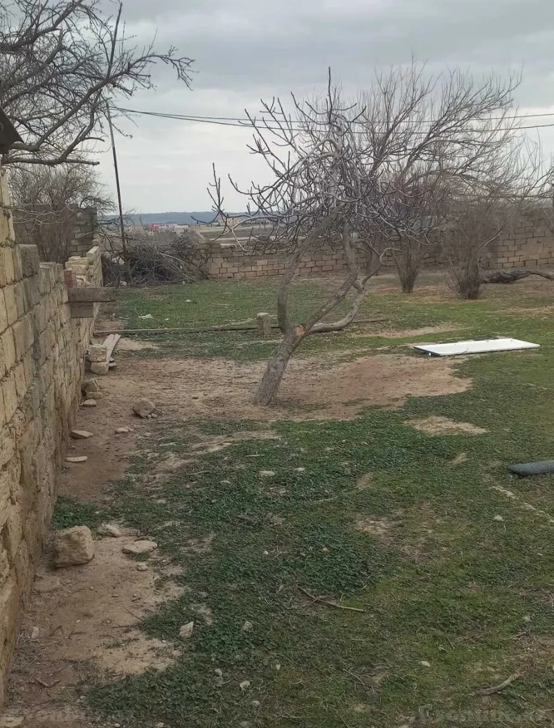 Satılır Torpaq 10 sot Saray - şəkil 3