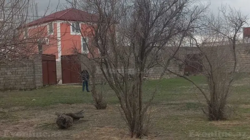 Satılır Torpaq 10 sot Saray - şəkil 5