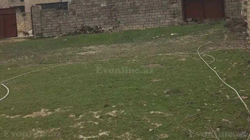 Satılır Torpaq 10 sot Saray - şəkil 6
