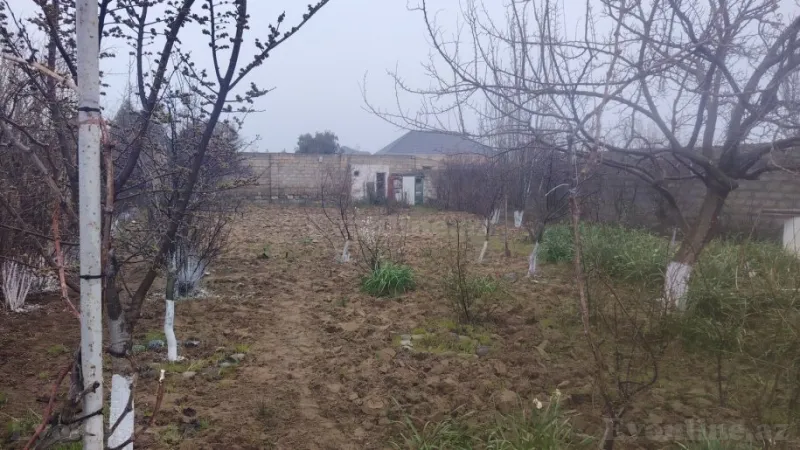 Satılır Torpaq 7 sot Buzovna - şəkil 2