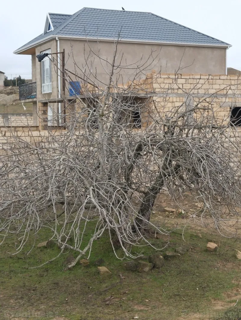 Satılır Torpaq 5 sot Nardaran - şəkil 8