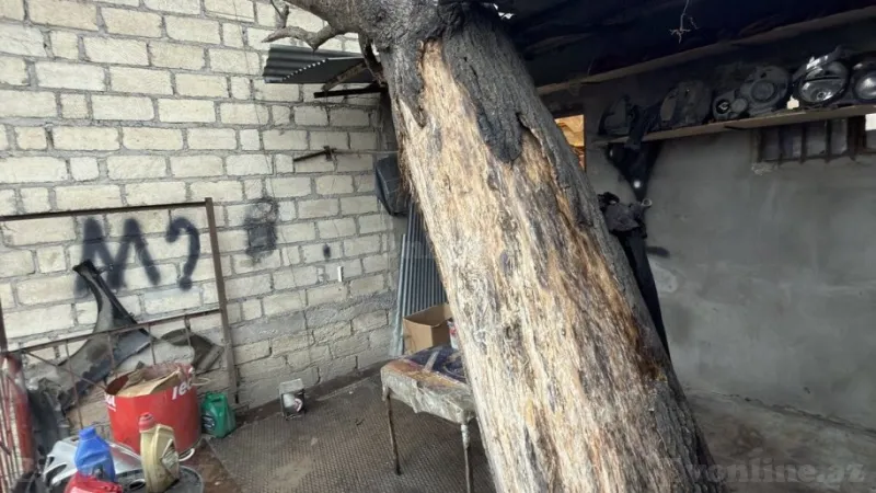 Satılır Obyekt 120 m² Bərdə - şəkil 5