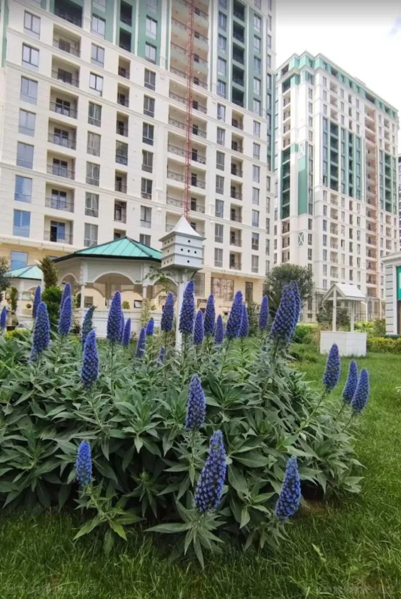 Satılır 3 otaqlı Mənzil Yeni tikili 100 m² Nəriman Nərimanov m. - şəkil 2