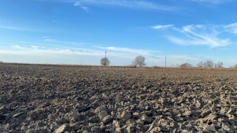 Satılır Torpaq 21500 sot Salyan