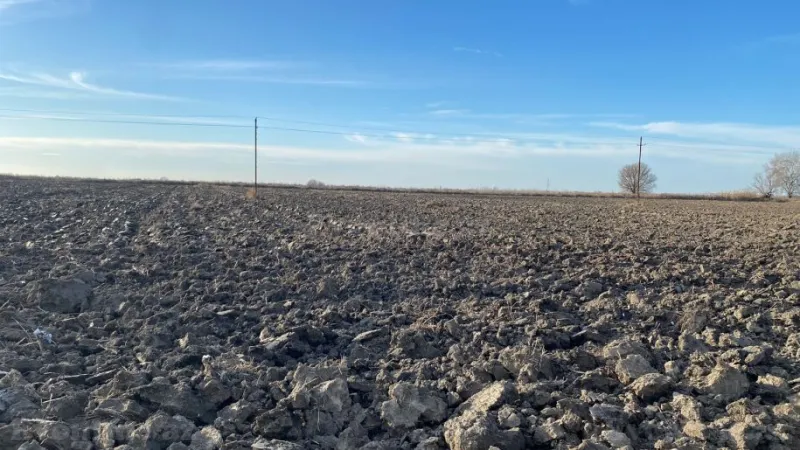 Satılır Torpaq 21500 sot Salyan - şəkil 2