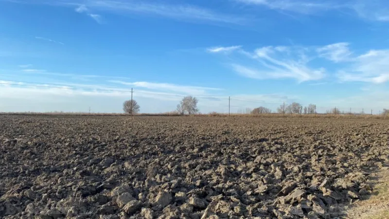 Satılır Torpaq 21500 sot Salyan - şəkil 3