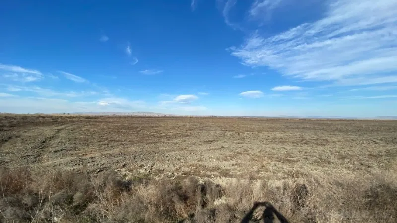 Satılır Torpaq 21500 sot Salyan - şəkil 4